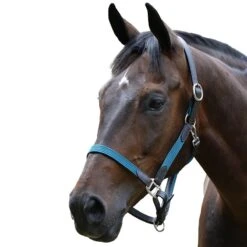 Kincade Leather Web Headcollar