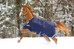 Rambo Original Arch Blanket 200g