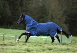 Rambo Optimo Turnout Sheet