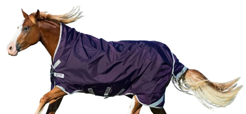 Rambo Wug Turnout Lite 0g 4 Rambo Wug Turnout Lite 0g - Image 2