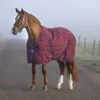 Rambo Stable Blanket 100g -Horse Supply Store TE031985 P