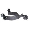 Professionals Choice Youth Gunmetal 8pt Spurs -Horse Supply Store TE032484