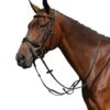 Collegiate Syntovia Martingale -Horse Supply Store TE032680 849512