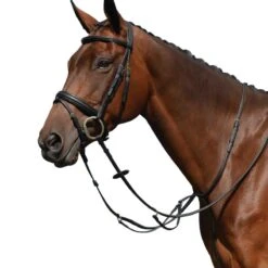 Collegiate Syntovia Martingale
