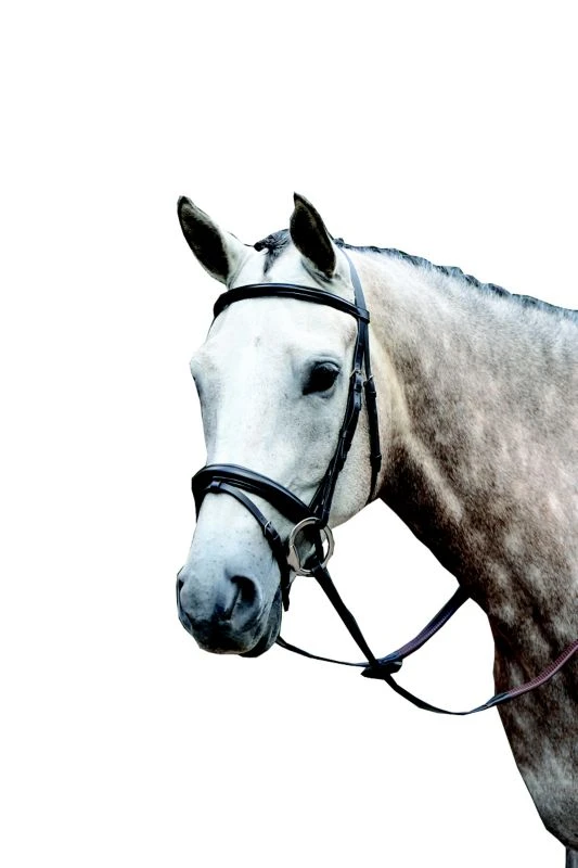 Collegiate Essential Flash Bridle 4 Collegiate Essential Flash Bridle - Image 2
