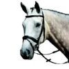 Collegiate Essential Flash Bridle 1 Collegiate Essential Flash Bridle -Horse Supply Store TE032689 P