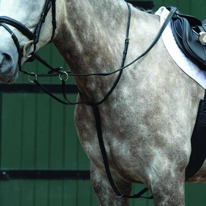 Collegiate Essential Flat Martingale 4 Collegiate Essential Flat Martingale - Image 2