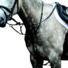 Collegiate Essential Flat Martingale 1 Collegiate Essential Flat Martingale -Horse Supply Store TE032692 P