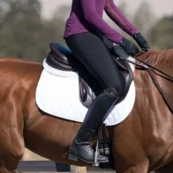 Irideon Ladies Thermasoft Breech -Horse Supply Store TE032851 02