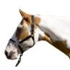 Blocker Patented Control Halter -Horse Supply Store TE032955