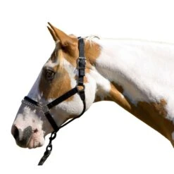Blocker Patented Control Halter