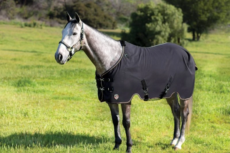 Kensington Poly Cotton Stable Sheet Pony 5 Kensington Poly Cotton Stable Sheet Pony - Image 3