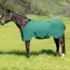 Kensington Poly Cotton Stable Sheet Pony -Horse Supply Store TE034147 P