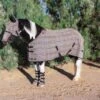 Kensington 73% UV Draft Protective Fly Sheet 1 Kensington 73% UV Draft Protective Fly Sheet -Horse Supply Store TE034151 87 DBK 864684