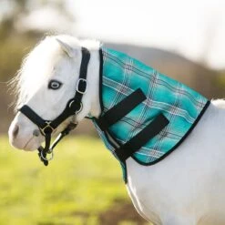 Kensington Mini Protective Neck Piece -Horse Supply Store TE034161 864674