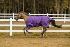 TuffRider 600D Comfy Standard Neck Sheet -Horse Supply Store TE034642 869733