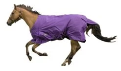 TuffRider 600D Comfy Standard Neck Sheet -Horse Supply Store TE034642 869733 WO