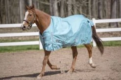 TuffRider 600D Comfy Standard Neck Sheet -Horse Supply Store TE034642 869739