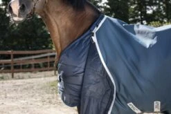 Amigo AmEco Bravo 12 Plus Turnout 100g 13 Amigo AmEco Bravo 12 Plus Turnout 100g -Horse Supply Store TE035359 03