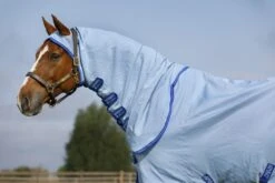 Amigo Ripstop Hoody -Horse Supply Store TE035566 01