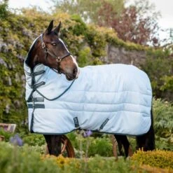 Amigo Plant Dye Stable Blanket -Horse Supply Store TE036022 01