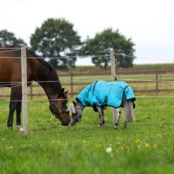 Amigo Hero 6 Petite Plus Turnout Lite -Horse Supply Store TE036048 02