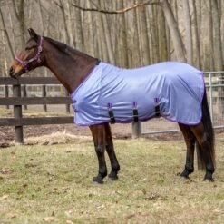 TuffRider Comfy Plus Fly Sheet 13 TuffRider Comfy Plus Fly Sheet -Horse Supply Store TE036541 915534