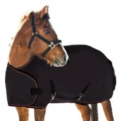 Kensington 1200D Weanling Turnout 180g -Horse Supply Store TE036573 891296