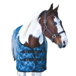 Kensington Pony 1200D Turnout 80g -Horse Supply Store TE036582 891723 WO