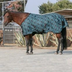Kensington Signature Rain Sheet -Horse Supply Store TE036587 891727