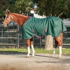 Kensington Signature Rain Sheet -Horse Supply Store TE036587 891738