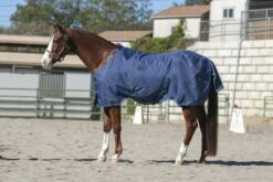 Kensington Signature Rain Sheet -Horse Supply Store TE036587 891749 01