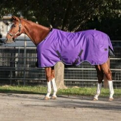 Kensington Signature Rain Sheet -Horse Supply Store TE036587 891770