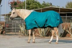 Kensington Signature Rain Sheet -Horse Supply Store TE036587 892011 01