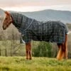 Rhino Plus Reflectech VL Medium Blanket -Horse Supply Store TE037376 901875 P