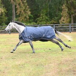 Gatsby 600D 300gm HW Waterproof Blanket