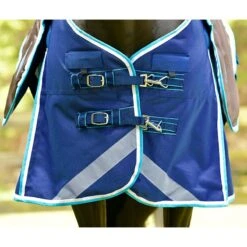 Weatherbeeta WB ComFiTec Ultra Tough DAN Heavy TO -Horse Supply Store TE038275 912411 02