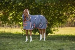 Weatherbeeta WB ComFiTec Essent Plus DAN Med TO 14 Weatherbeeta WB ComFiTec Essent Plus DAN Med TO -Horse Supply Store TE038281 912519 02