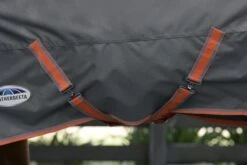 Weatherbeeta WB ComFiTec Essent Plus DAN Med TO 19 Weatherbeeta WB ComFiTec Essent Plus DAN Med TO -Horse Supply Store TE038281 912519 07