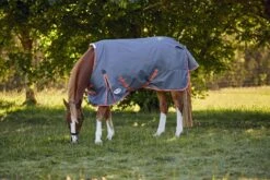 Weatherbeeta WB ComFiTec Essential Plus Med TO -Horse Supply Store TE038282 912533 02