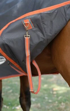 Weatherbeeta WB ComFiTec Essential Plus Med TO -Horse Supply Store TE038282 912533 06