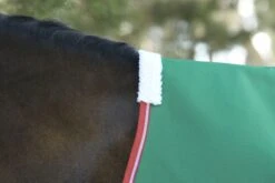 Weatherbeeta WB ComFiTec Prelim Standard Lite TO -Horse Supply Store TE038286 912589 05