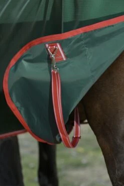 Weatherbeeta WB ComFiTec Prelim Standard Lite TO -Horse Supply Store TE038286 912589 06