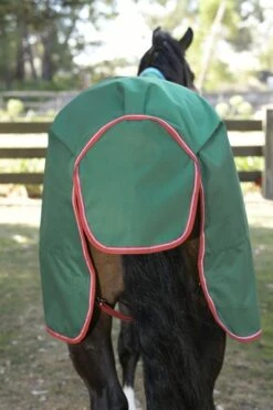 Weatherbeeta WB ComFiTec Prelim Standard Lite TO -Horse Supply Store TE038286 912589 07