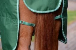 Saxon Defiant 1200D Combo Med TO 17 Saxon Defiant 1200D Combo Med TO -Horse Supply Store TE038288 912635 05