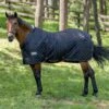 TuffRider Kozy Komfort Stable Blanket -Horse Supply Store TE048195 P