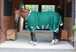 Centaur TZERO Turnout Sheet -Horse Supply Store TE048725 932385 02