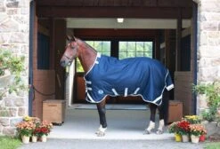 Centaur TZERO Turnout Sheet -Horse Supply Store TE048725 932386 02