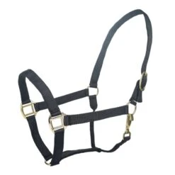 Tabelo Nylon Halter W/Snap 25 Tabelo Nylon Halter W/Snap -Horse Supply Store TE079015 911826 01