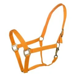 Tabelo Nylon Halter W/Snap 28 Tabelo Nylon Halter W/Snap -Horse Supply Store TE079015 911829 01